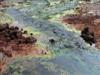 Polluted mine water with very high concentrations of iron and algae